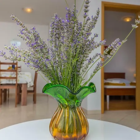 Principium Apartman Klenovica