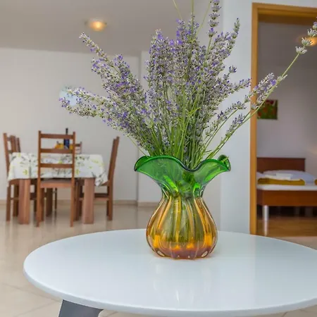 Principium Klenovica